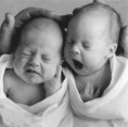 www.prematuros.cl